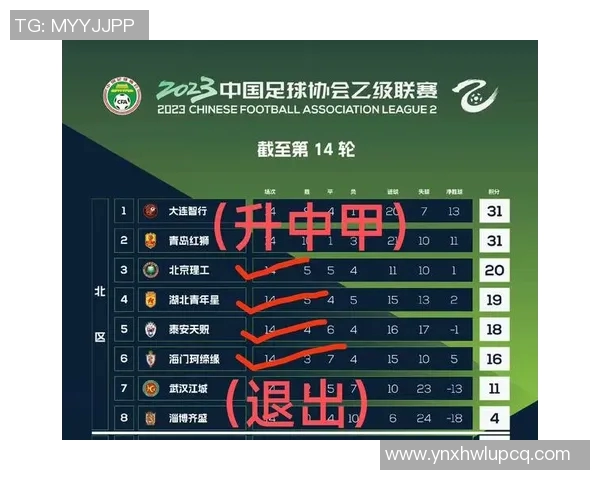 中乙冲甲组积分排行分析及未来赛季展望与球队表现评估